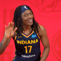 Womens Basketball Sport GIF by Indiana Fever