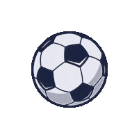 World Cup Soccer Sticker by DANA Senioreneinrichtungen