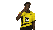 Oh No Facepalm Sticker by Bundesliga