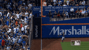 Ny Mets Sport GIF by New York Mets