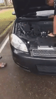 Texas Police Officer Rescues Kitten Stuck in Car Engine