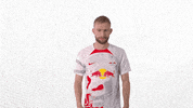 Hands Up No GIF by RB Leipzig