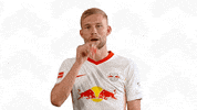 Oh Yeah Win GIF by RB Leipzig
