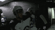 nhl sports sport hockey nhl GIF