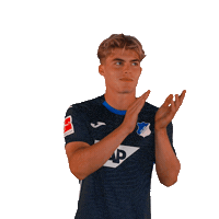 Sport Bundesliga Sticker by TSG Hoffenheim