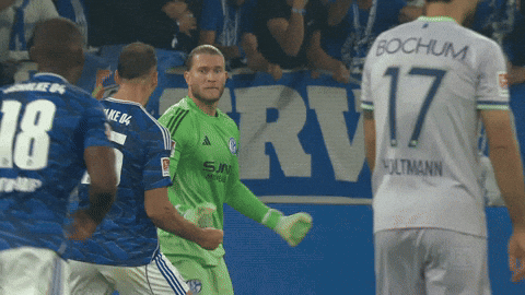 Football Soccer GIF by FC Schalke 04