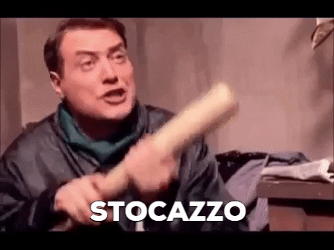dibegnozzi giphygifmaker conte stocazzo GIF