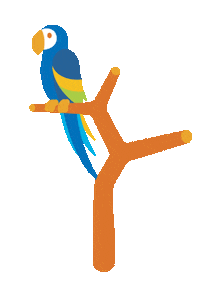 Bird Learning Sticker by Discovery Place