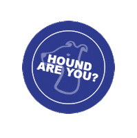 smileyhound how are you greyhound hound howareyou Sticker