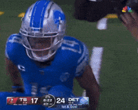 Detroit Lions GIF