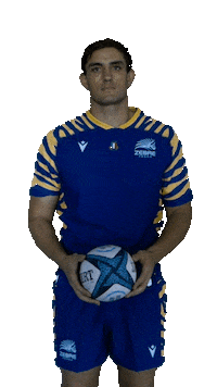 Rugby Italia Sticker by Zebre Parma