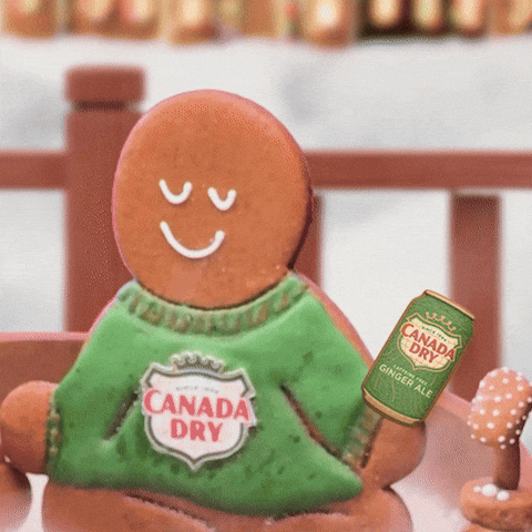 Sleigh GIF by Canada Dry Ginger Ale