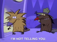 angry beavers nicksplat GIF