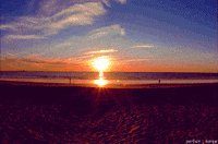 blue sky beach GIF