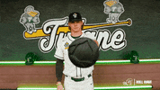 College Baseball Ethan GIF by GreenWave