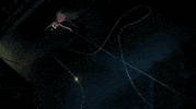 Fate Stay Night Animation GIF by All The Anime — Anime Limited