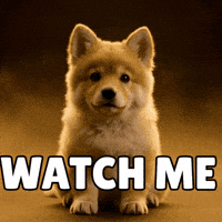 I Will Do It Watch Me GIF