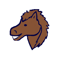 MurrayStateUniv msu murray blue and gold racers Sticker