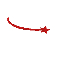 Star Sticker by Celebrations UK