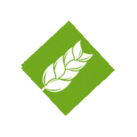 SementesWebber agro agricultura agronegocio trigo Sticker