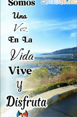 En La Vida Amigos GIF by Murcianys LLC