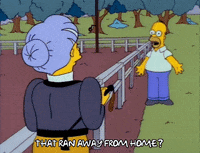 Talking Season 3 GIF by The Simpsons