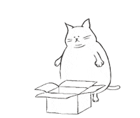 Cat Sticker