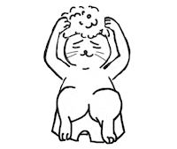 Cat Sticker