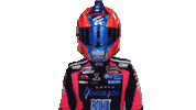 Nascar Pilot Sticker by reginasirvent
