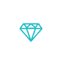 budgetsavvybride sparkle diamond engaged savvy Sticker
