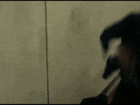 Reversed GIF