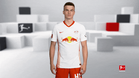 Posing Line Up GIF by Bundesliga
