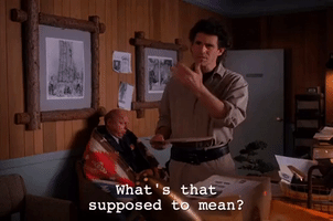Season 2 Episode 21 GIF by Twin Peaks on Showtime