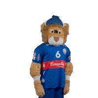 Handball Mascot Sticker by bergischerhc06