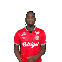 Ligue 2 Asse Sticker by EA Guingamp