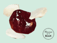 brownieandthebean food yummy eat cake GIF