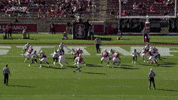GIF by Stanford Athletics