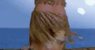 cape no 7 dance GIF