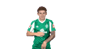 Josh Sargent Bundesliga Sticker by SV Werder Bremen