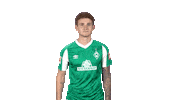 Josh Sargent Bundesliga Sticker by SV Werder Bremen