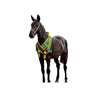 Mm Mp Sticker by Haras Misk