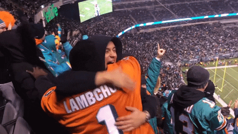 Miami Dolphins GIF by Dolfans NYC