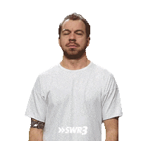 Surprise Reaction Sticker by SWR3