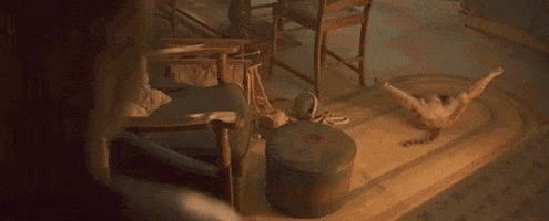 Cats 2019 GIF by Vulture.com