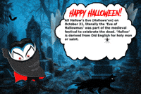 Black Cat Halloween GIF