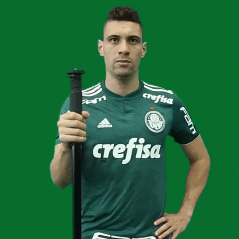 comemoracao profeta GIF by SE Palmeiras