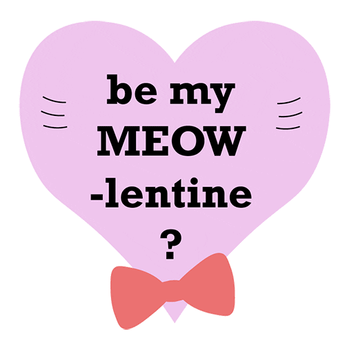 cat valentine love Sticker by KitNipBox