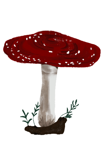 Plant Mushroom Sticker by Teaspoon studio