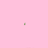 Candy Sweets GIF by TeaCosyFolk