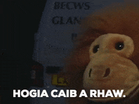 carwpiws pump cymraeg orangutan gareth GIF